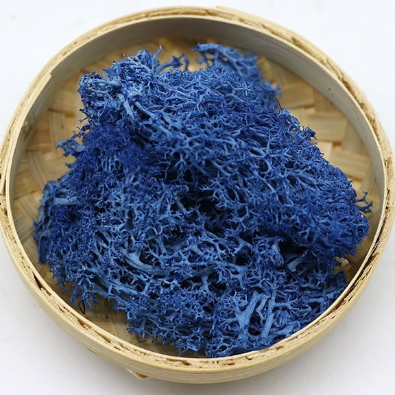 VINOIC Preserved Moss Decor, Natural Look for Potted Plants, Perfect for Garden Decoration and Wedding Crafts, Immortal Floral Background for Artificial Displays