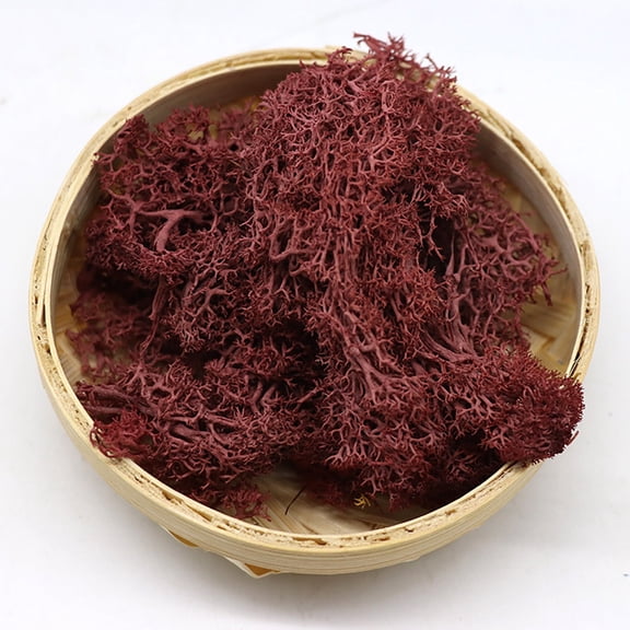 VINOIC Potted Plants Garden Moss, Natural Artificial Floral Background Decor, 1-Pack 10g Fake Greenery for Crafts for Potted Plants Garden Decoration Immortal Natural Dry Moss Wedding Party