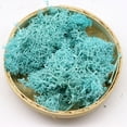 thumbnail image 1 of VINOIC Preserved Moss Decor, Natural Look for Potted Plants, Perfect for Garden Decoration and Wedding Crafts, Immortal Floral Background for Artificial Displays, 1 of 5