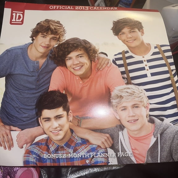 VINTAGE RARE HTF One Direction 1D Original 2013 Mini 7x7" Official Calendar