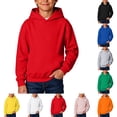 thumbnail image 1 of VIPOIN Kids Soft Cotton Pullover Hooded Sweatshirt Lightweight Fall Casual Everyday 1-12 Years Wear, 1 of 6