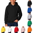 thumbnail image 1 of VIPOIN Kids Soft Cotton Pullover Hooded Sweatshirt Lightweight Fall Casual Everyday 1-12 Years Wear, 1 of 6