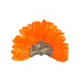 thumbnail image 1 of VISALY Women's Oversized Feather Headpiece Sparkly Festival Hair Clips Feather Hair Accessory Trendy Heardband Fashionable Dress-Up Headwear for Stage Performance Head Wear Orange One Size, 1 of 4