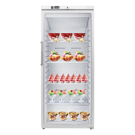 VITLIFE Commercial Reach-in Freezer, Reversible Door,-8°F to 0°F, Frost Free, LED, Lockable, Adjustable Shelves, 10.4 Cu.ft., Upright Ventilated Freezer for Restaurants/Cafes/Bars