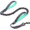 thumbnail image 1 of VIVAGLORY Dog Leash Pullsafe Bungee Dog Leash with 2 Padded Handle & Double Handle for Training & Walking, Bungee Anti Pull for Pet That Pull, 4ft x 1in, Black, 1 of 6
