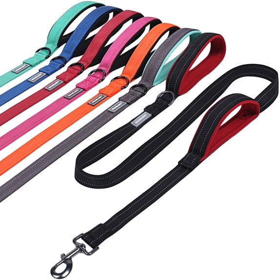 VIVAGLORY Dog Leash with Double Handle, Reflective Nylon Lead, Medium & Large, Black, 4 ft