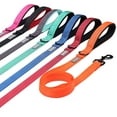 thumbnail image 1 of VIVAGLORY Dog Leash with Padded Handle, Reflective Nylon Lead, Medium & Large, Orange, 5 ft, 1 of 7