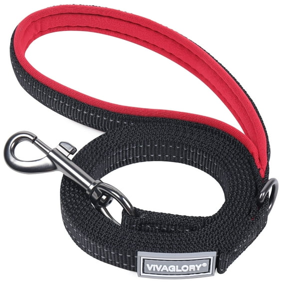 VIVAGLORY Dog Leash with Padded Handle, Reflective Nylon Lead, Small, Black, 6 ft