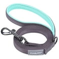 thumbnail image 1 of VIVAGLORY Dog Leash with Padded Handle, Reflective Nylon Lead, Small, Grey, 6 ft, 1 of 7