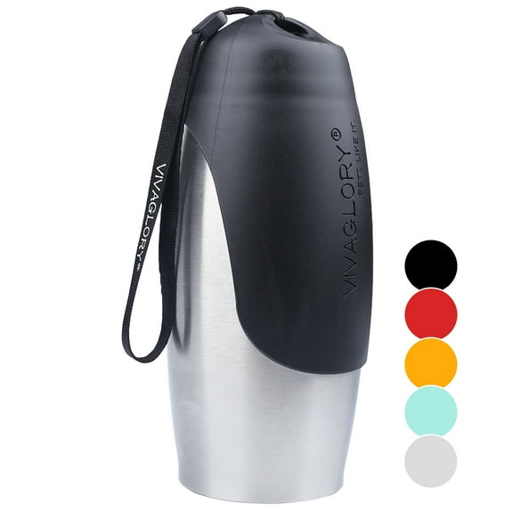 VIVAGLORY Pawhike Dog Water Bottle, Stainless Steel Dog Water Bottle for Travel & Walking with Strap, Portable & Drinking for Pet Puppy, 25oz, Stainless Steel