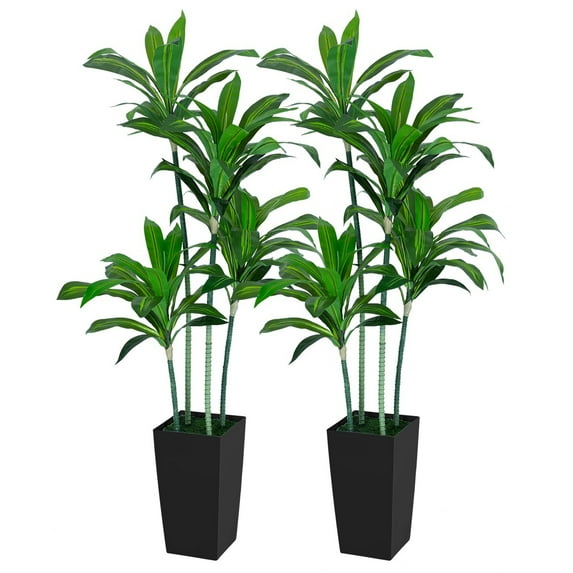 VIVATREES 5FT Dracaena Draco Artificial Dragon Tree Faux Corn Plants Realistic Fragrans Faux Tree with Black Square Pot, Artificial Plants for Home Office Decor, Interior Outdoor Decoration 2 Pack