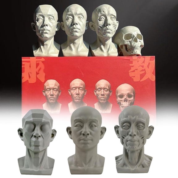VIVIDCRAFT Planar Head Model for Artists Learn Planes of Face Standard Planar Head Male Head Model Human Manikin Head Model for Artists Drawing Skecthing Painting