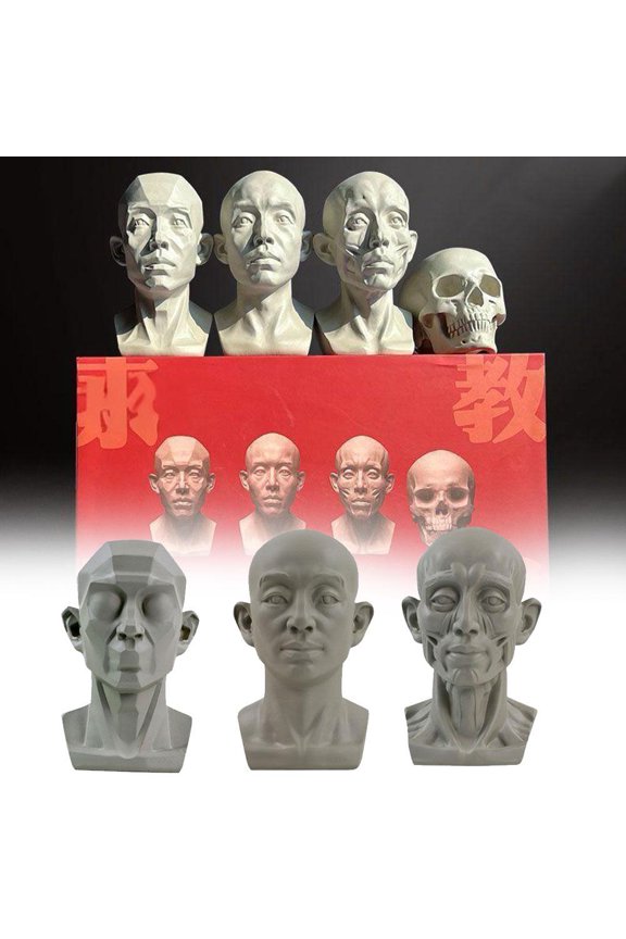 Planar Head Model for Artists Learn Planes of Face Standard Planar Head Male Head Model Human Manikin Head Model for Artists Drawing Skecthing Painting