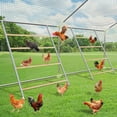 thumbnail image 1 of VIVIJASON 2 Pack Chicken Coop Roosting Essentials Chicken Roosting Ladder Sturdy Galvanized and Log Stand Chicken Perch, Chicken Toy and Coop Accessory Perfect for Backyard Poultry 56'' L x 41.5'' W, 1 of 1