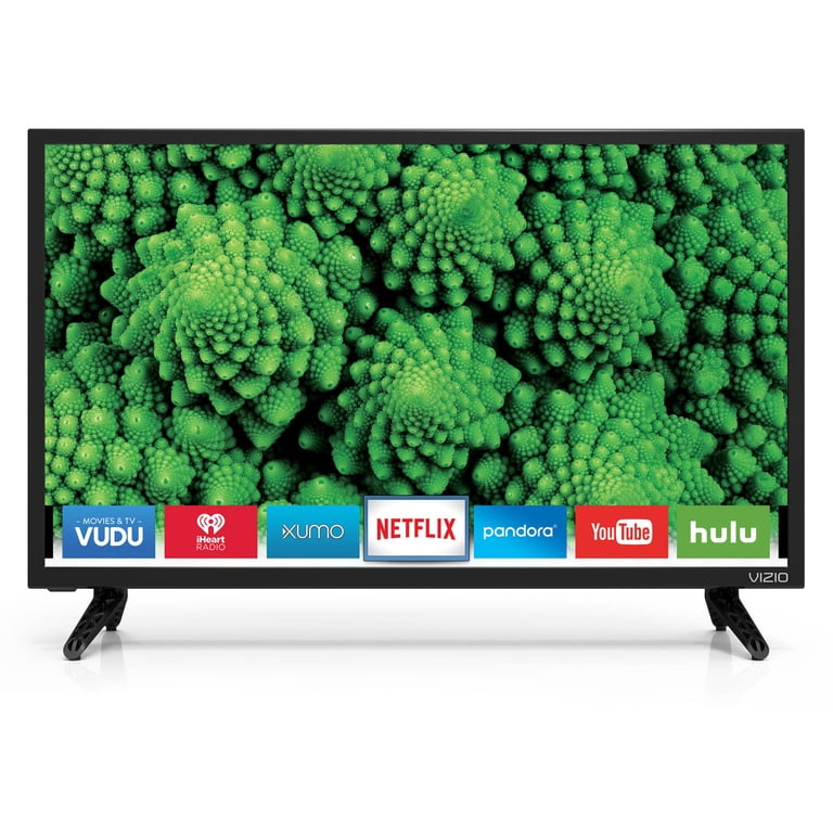 VIZIO 24
