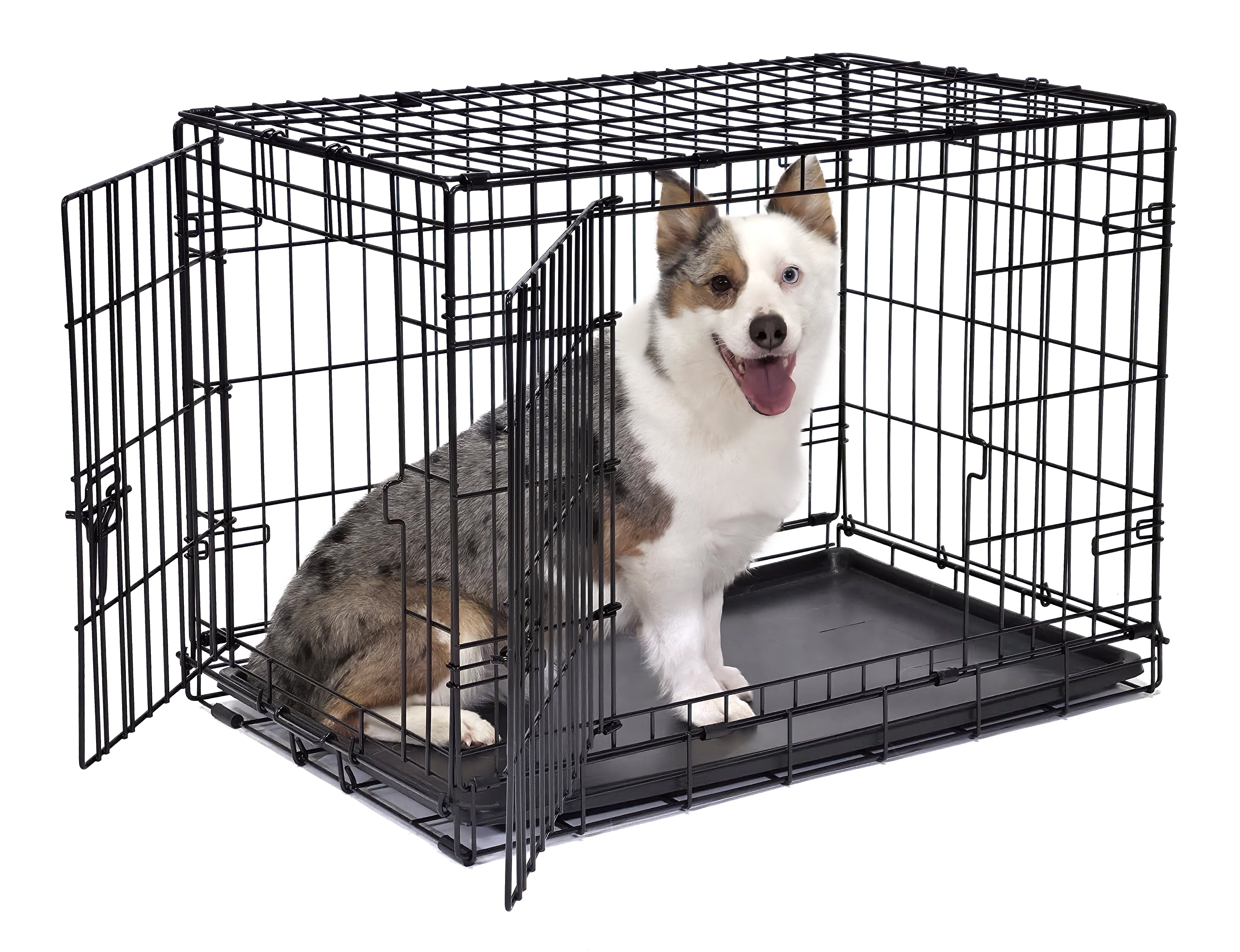 Vibrant Life Foldable 2-Door 30" Wire Crate for Dogs with Divider and Leak-Proof Tray