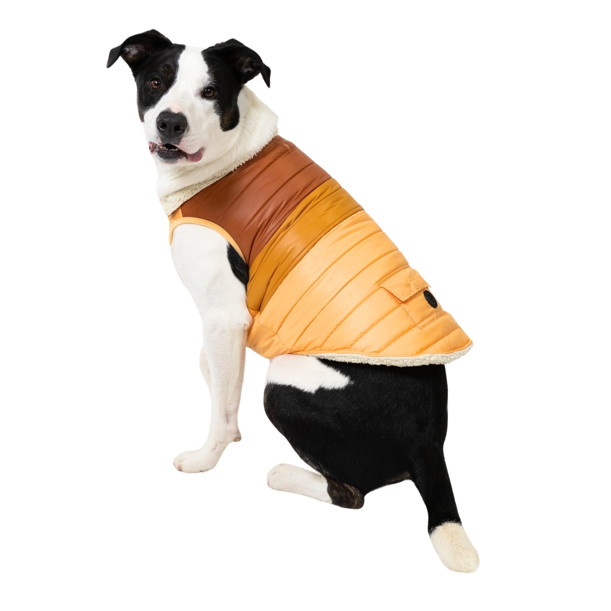 Vibrant Life Quilted Winter Puffer Coat for Medium Dogs, Brown and Orange