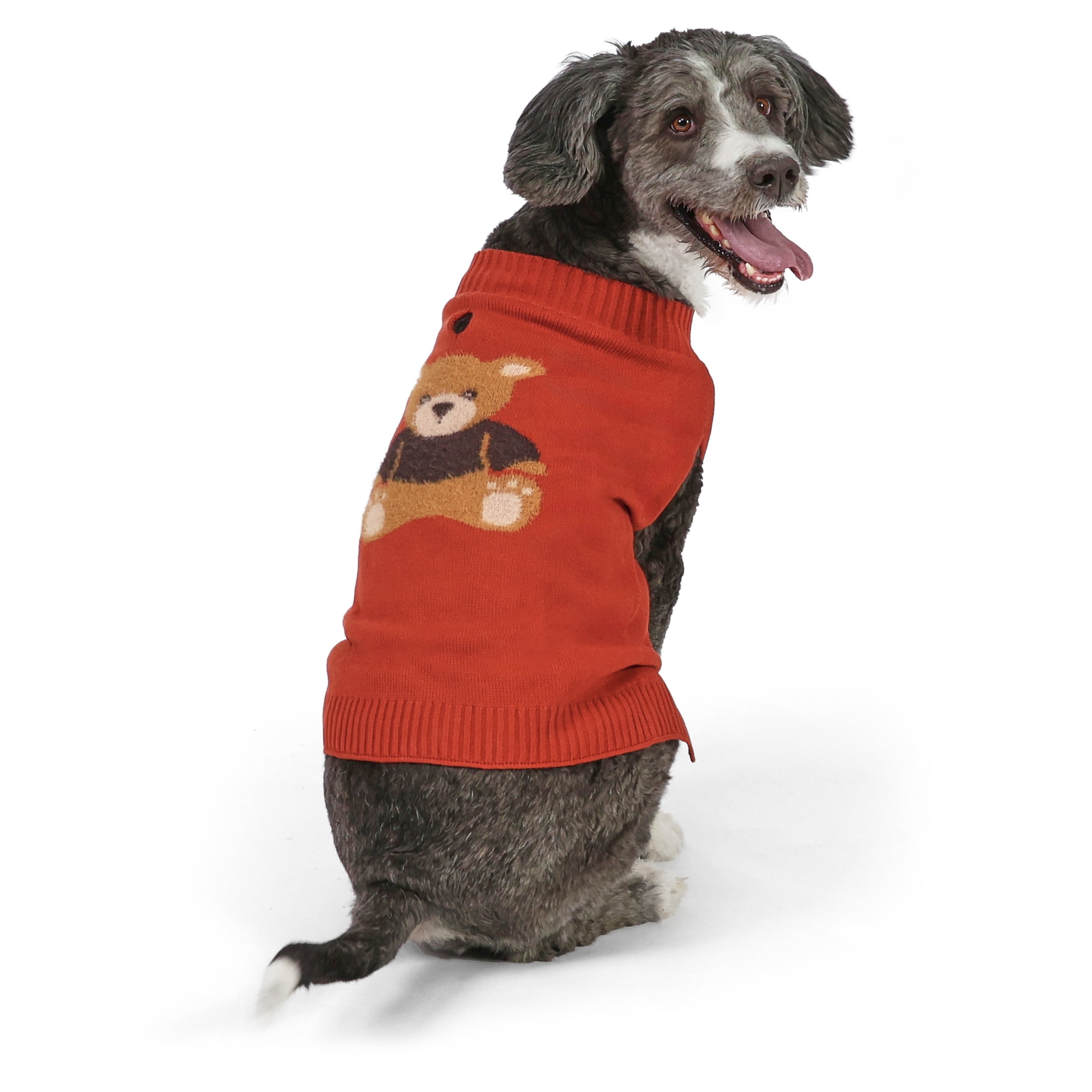 Vibrant Life Knit Sweater for Dogs, Teddy Bear, Orange, L