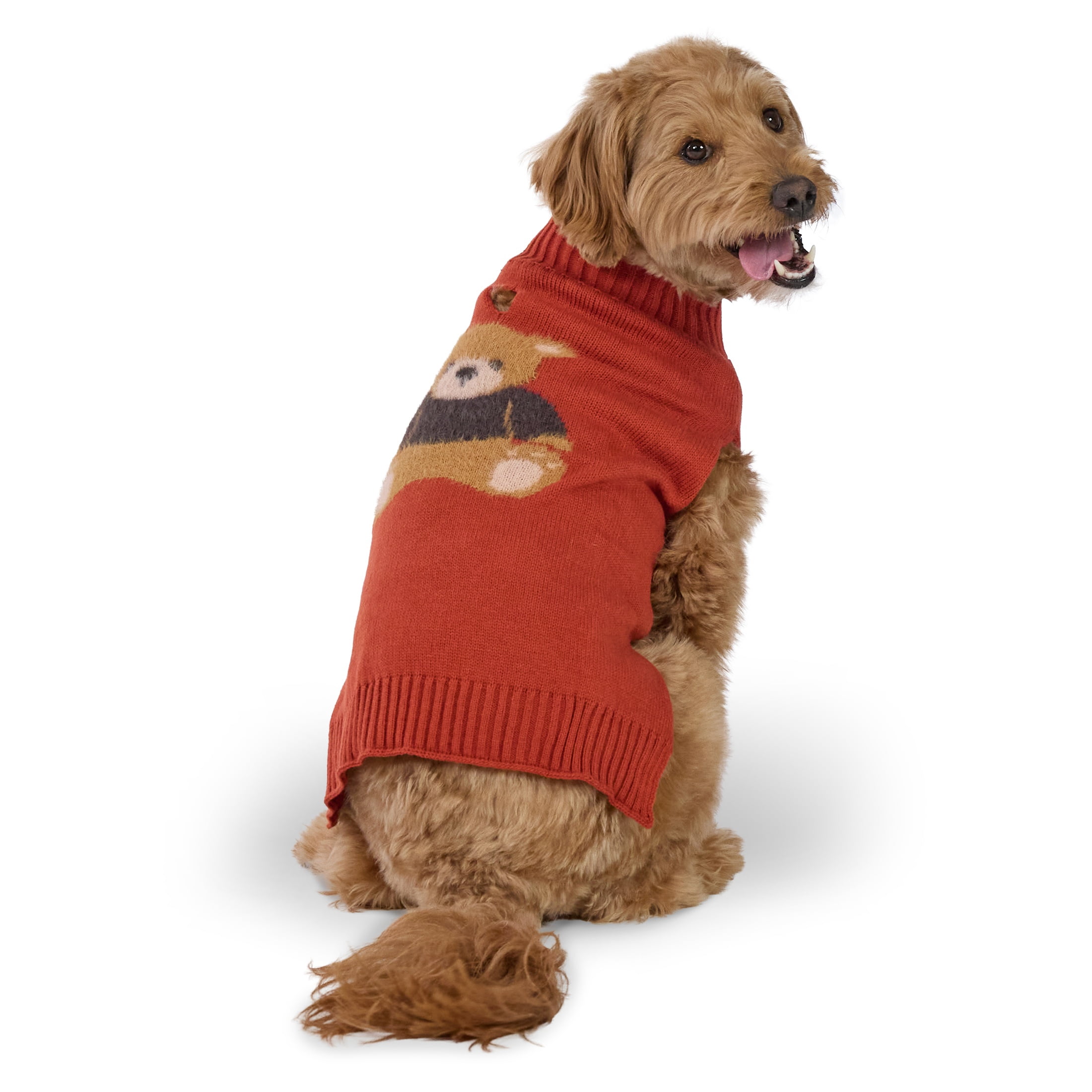 Vibrant Life Knit Sweater for Dogs, Teddy Bear, Orange, M