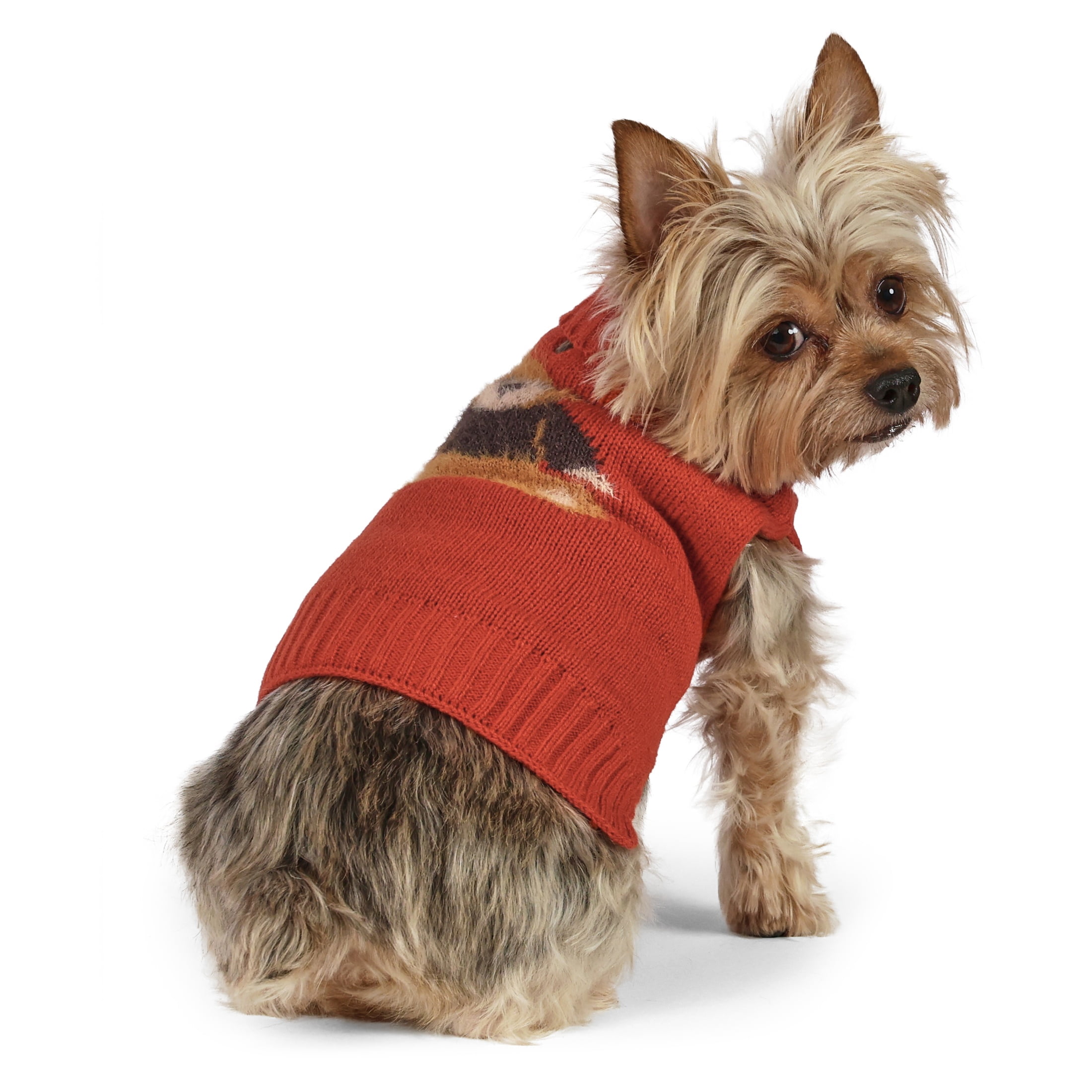 Vibrant Life Knit Sweater for Dogs and Cats, Teddy Bear, Orange, XS