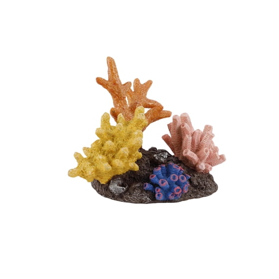 VL CORAL REEF ORN