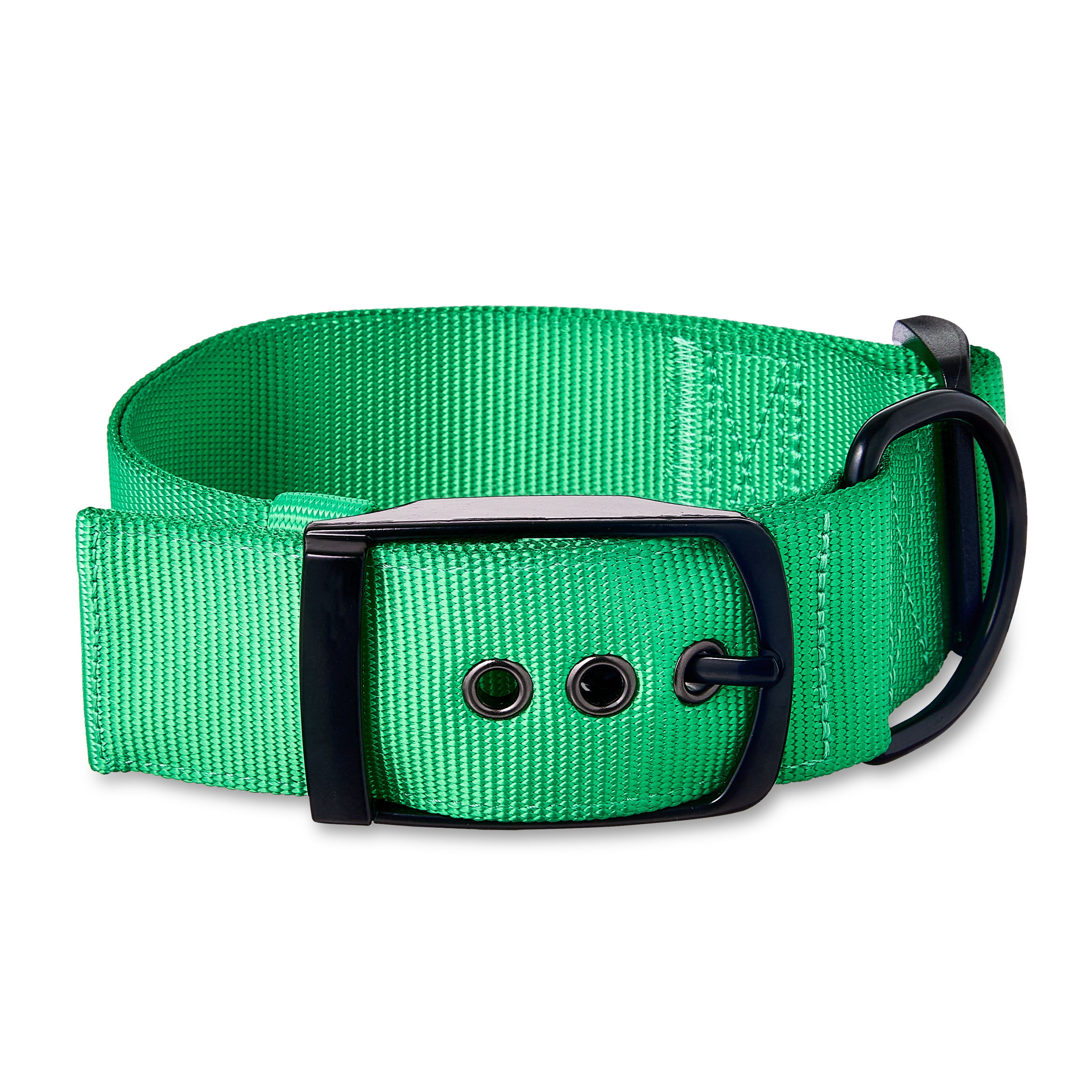 Vibrant Life Polyester Adjustable Dog Collar with Metal Buckle, Green, XL