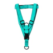 Vibrant Life Polyester Comfort Step-in Dog Harness, Teal, XL