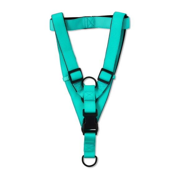 Vibrant Life Polyester Comfort Step-in Dog Harness, Teal, XL