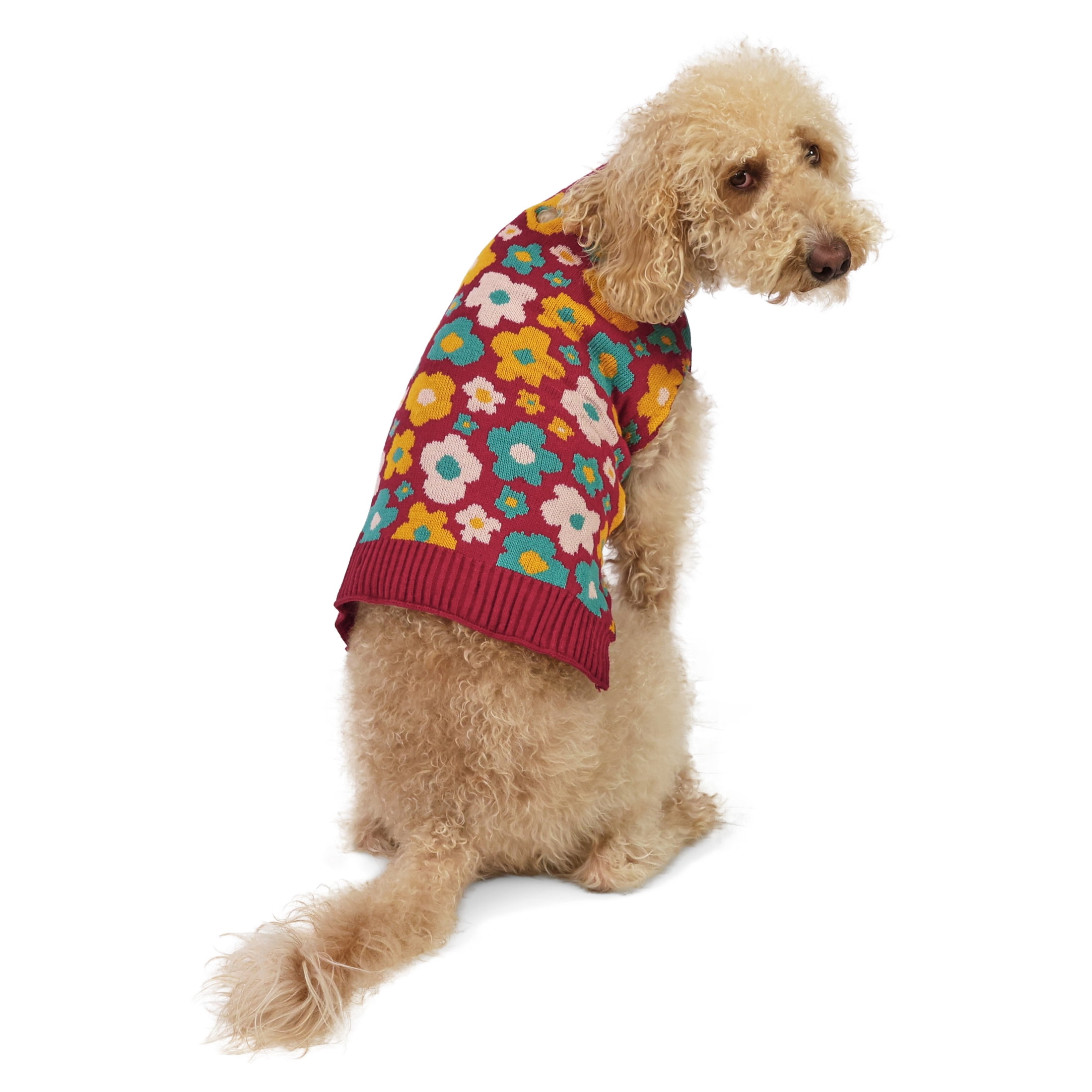 Vibrant Life Sweater for Dogs, Fall Flowers, Red and Yellow, M