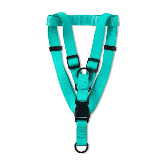 Vibrant Life Polyester Step-in Dog Harnesses, Teal, L