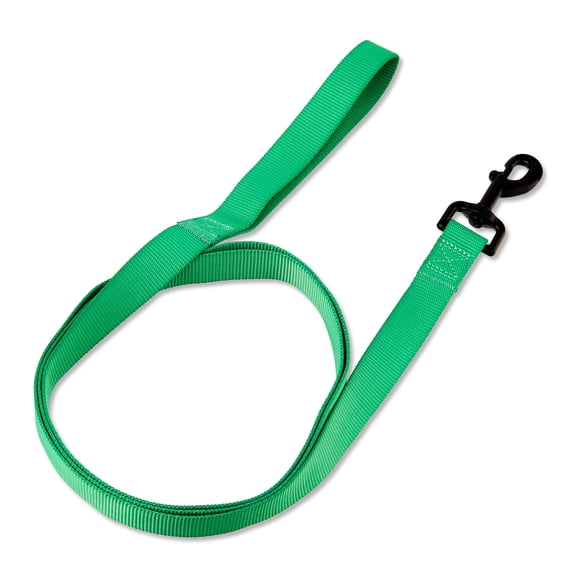 Vibrant Life 6' Polyester Standard Dog Leash, Green