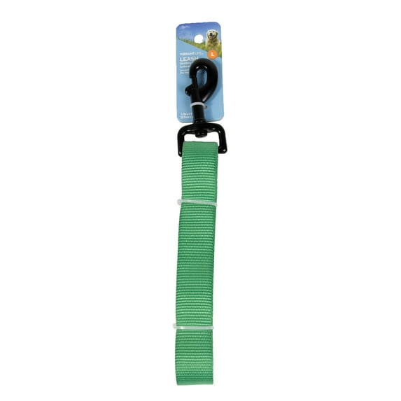 Vibrant Life Polyester Standard Dog Leash for Medium to Large Dogs, Green, 6' ft