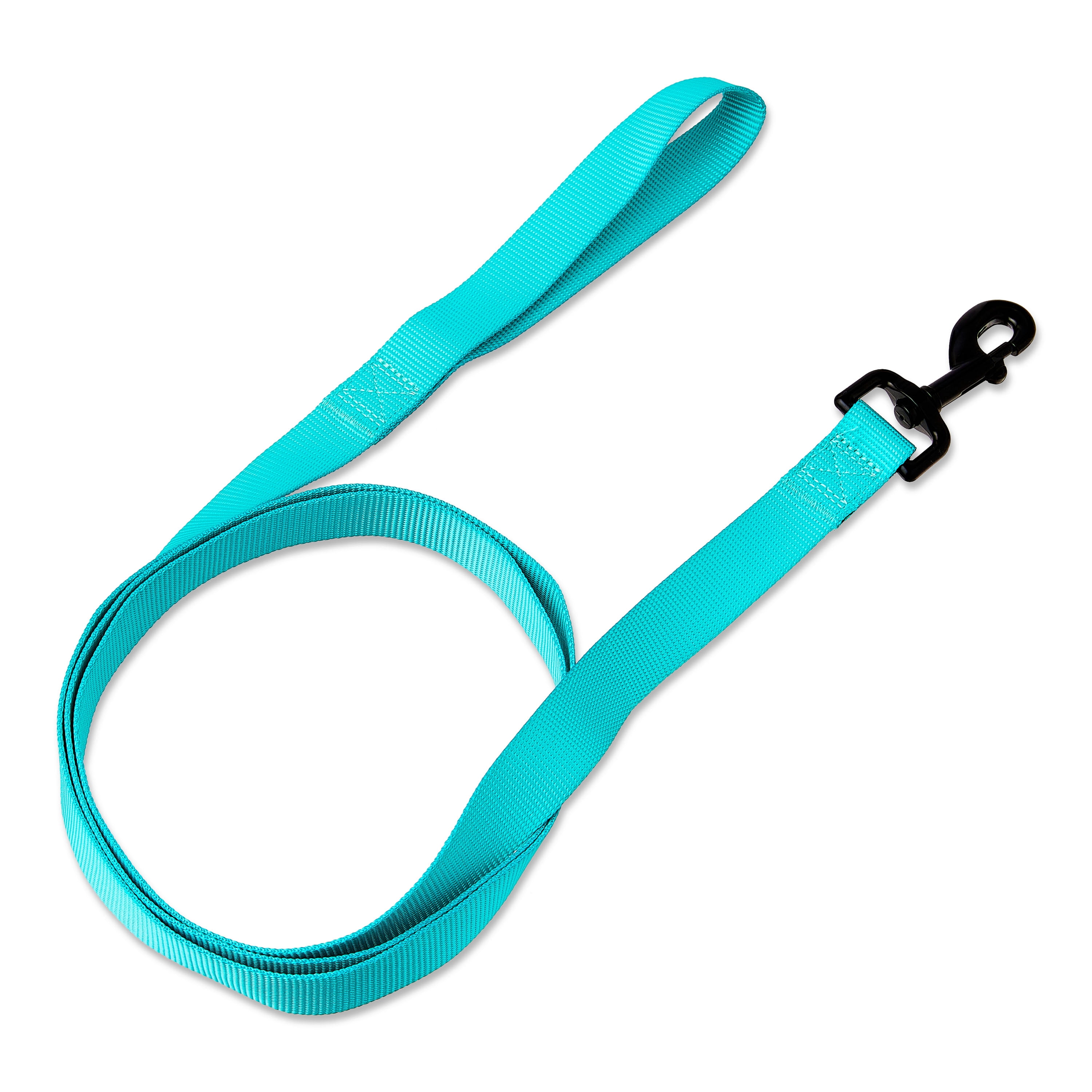 Vibrant Life 6' Polyester Standard Dog Leash, Teal