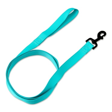 Vibrant Life Polyester Standard Dog Leash for Medium to Large Dogs, Teal, 6' ft