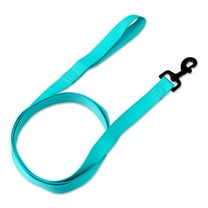 Vibrant Life 6' Polyester Standard Dog Leash, Teal
