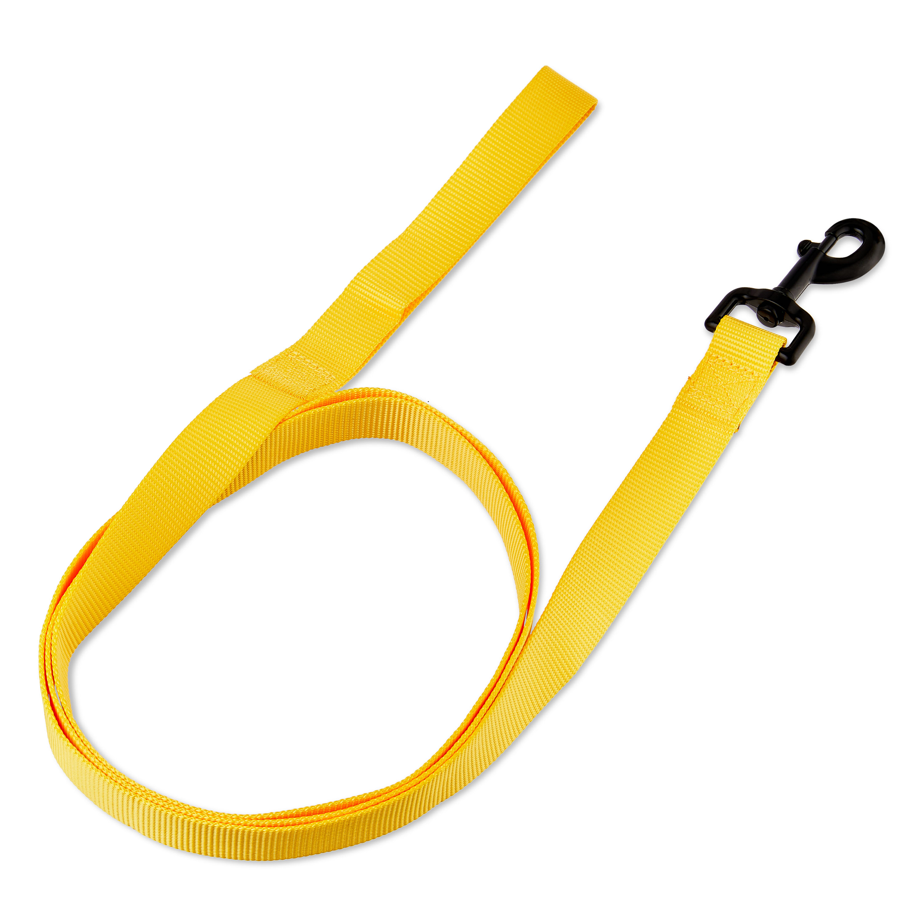 Vibrant Life 6' Polyester Standard Dog Leash, Yellow
