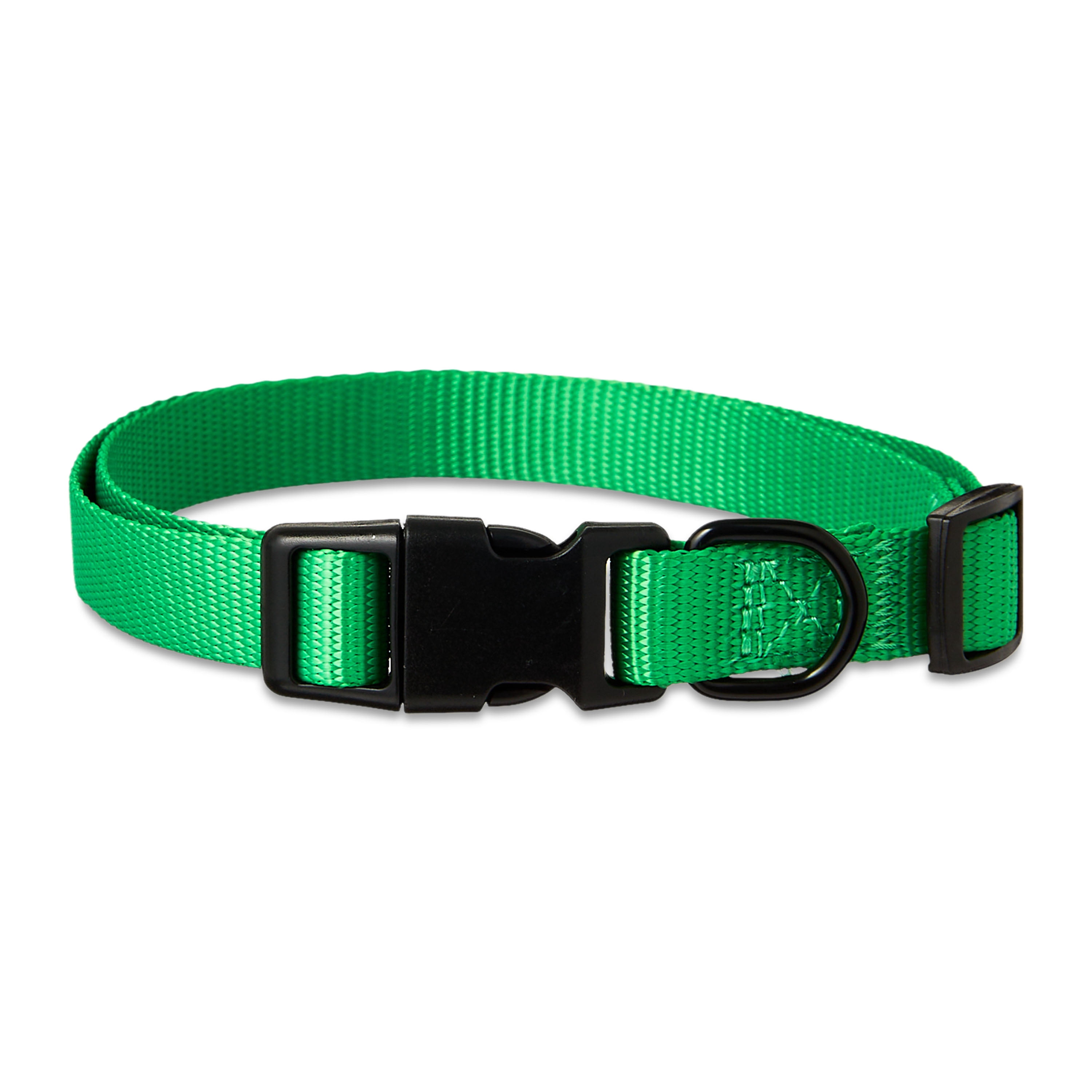 Vibrant Life Polyester Adjustable Dog Collar, Green, M