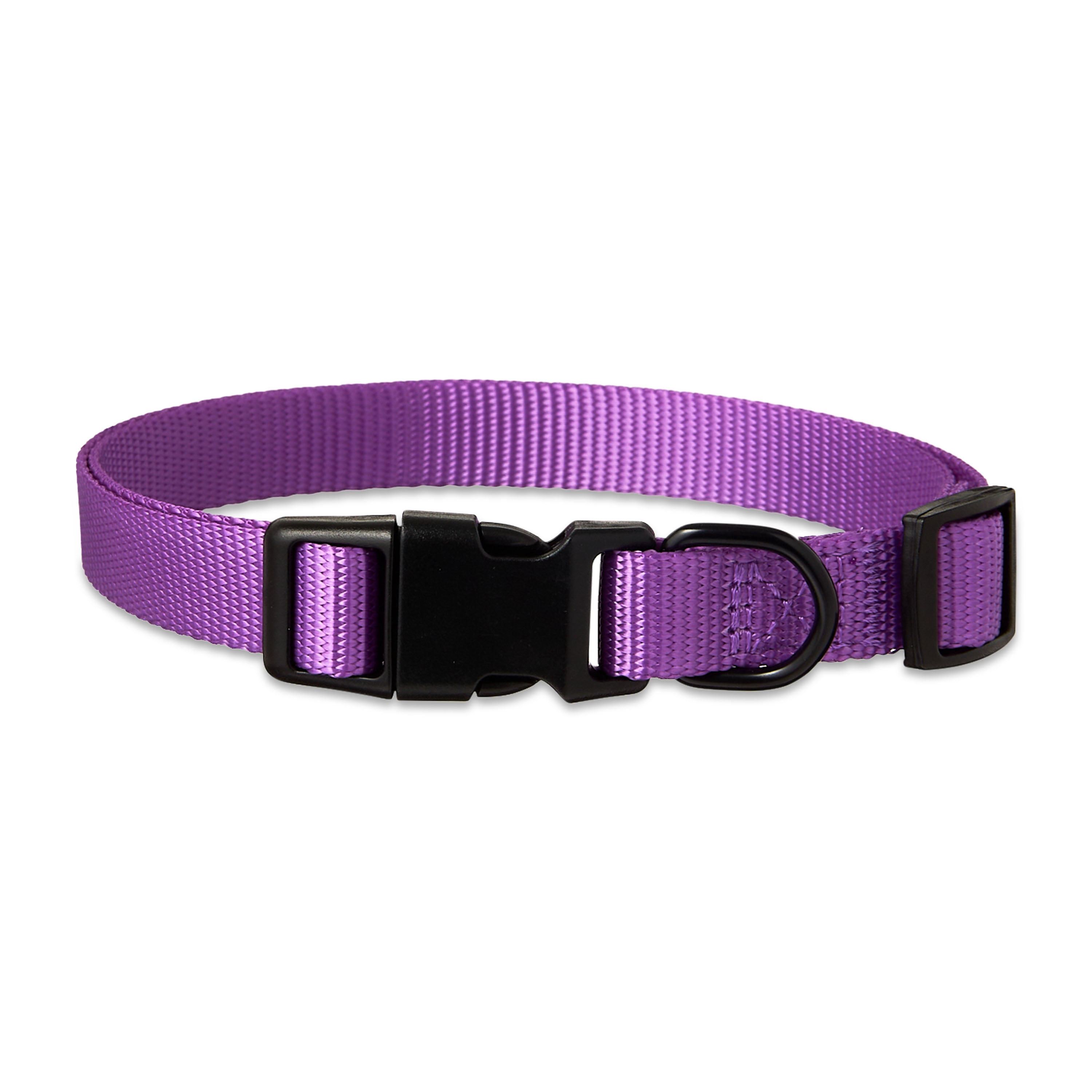 Vibrant Life Polyester Adjustable Dog Collar, Purple, M