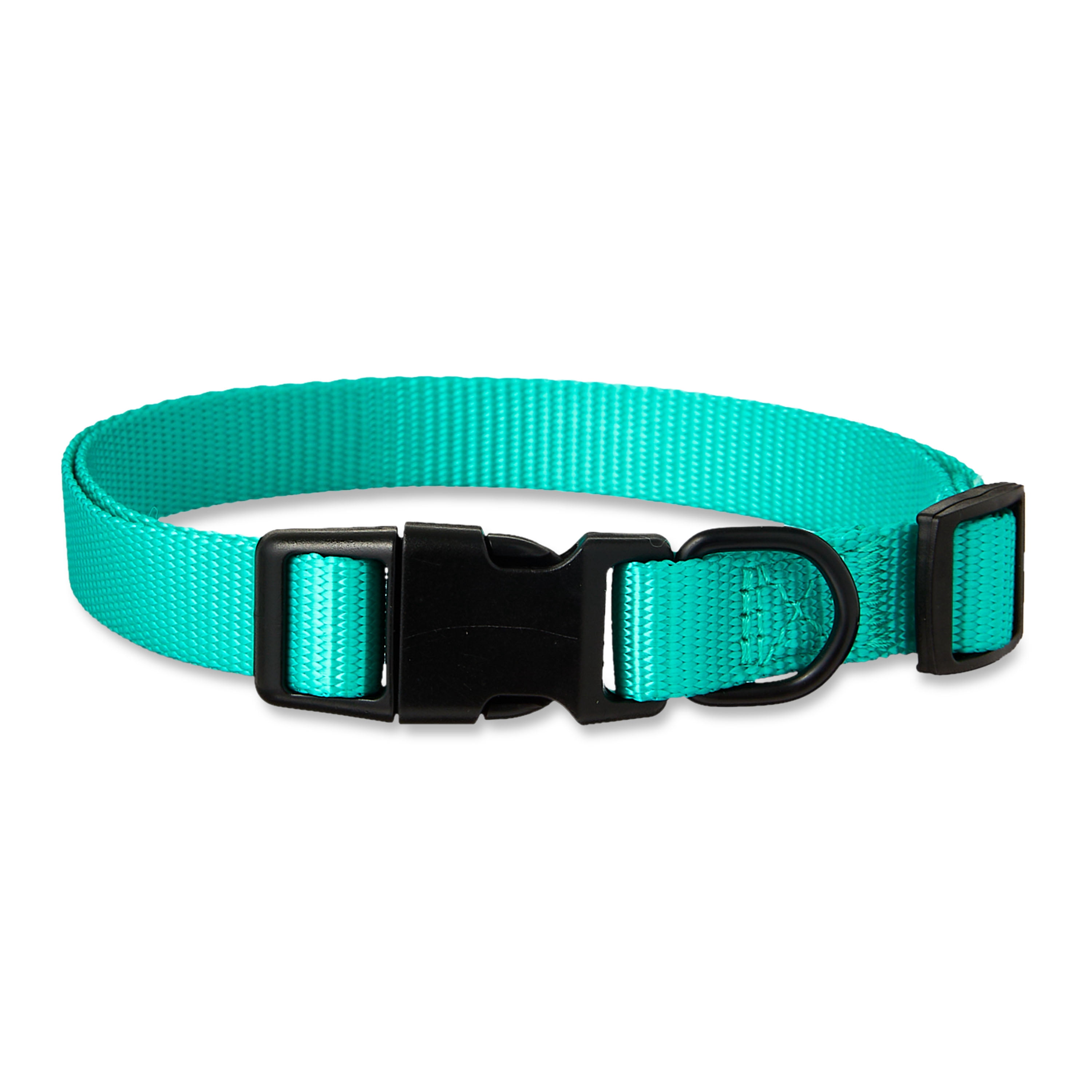 Vibrant Life Polyester Adjustable Dog Collar, Teal, M