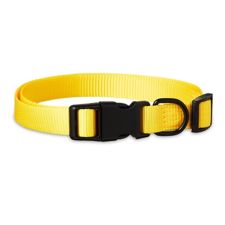 Vibrant Life Polyester Adjustable Dog Collar, Yellow, M