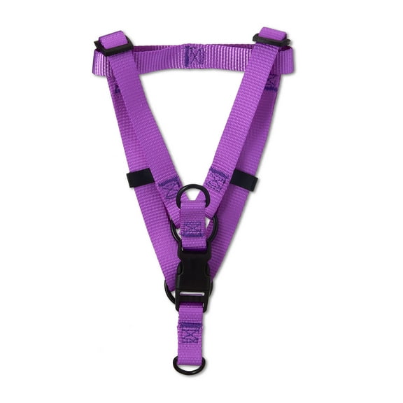 Vibrant Life Polyester Step-in Dog Harness, Purple, M
