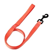 Vibrant Life 4' Polyester Standard Dog Leash, Coral