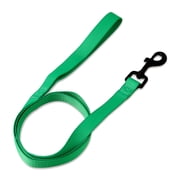 Vibrant Life 4' Polyester Standard Dog Leash, Green