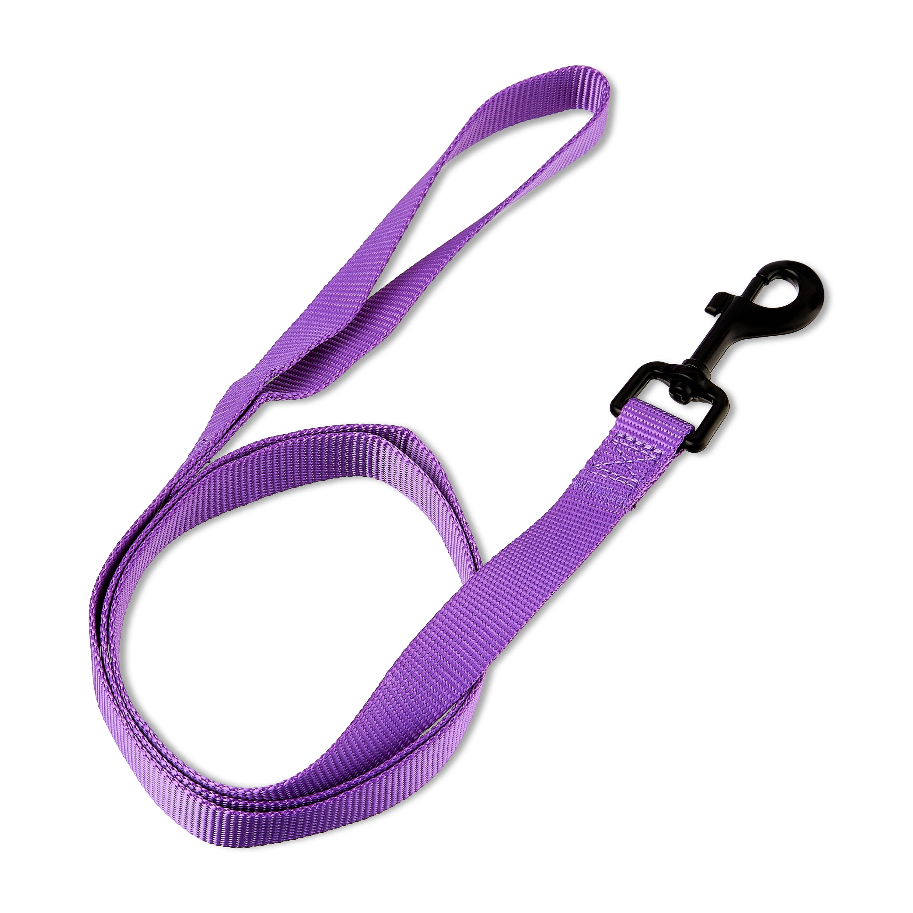 Vibrant Life 4' Polyester Standard Dog Leash, Purple