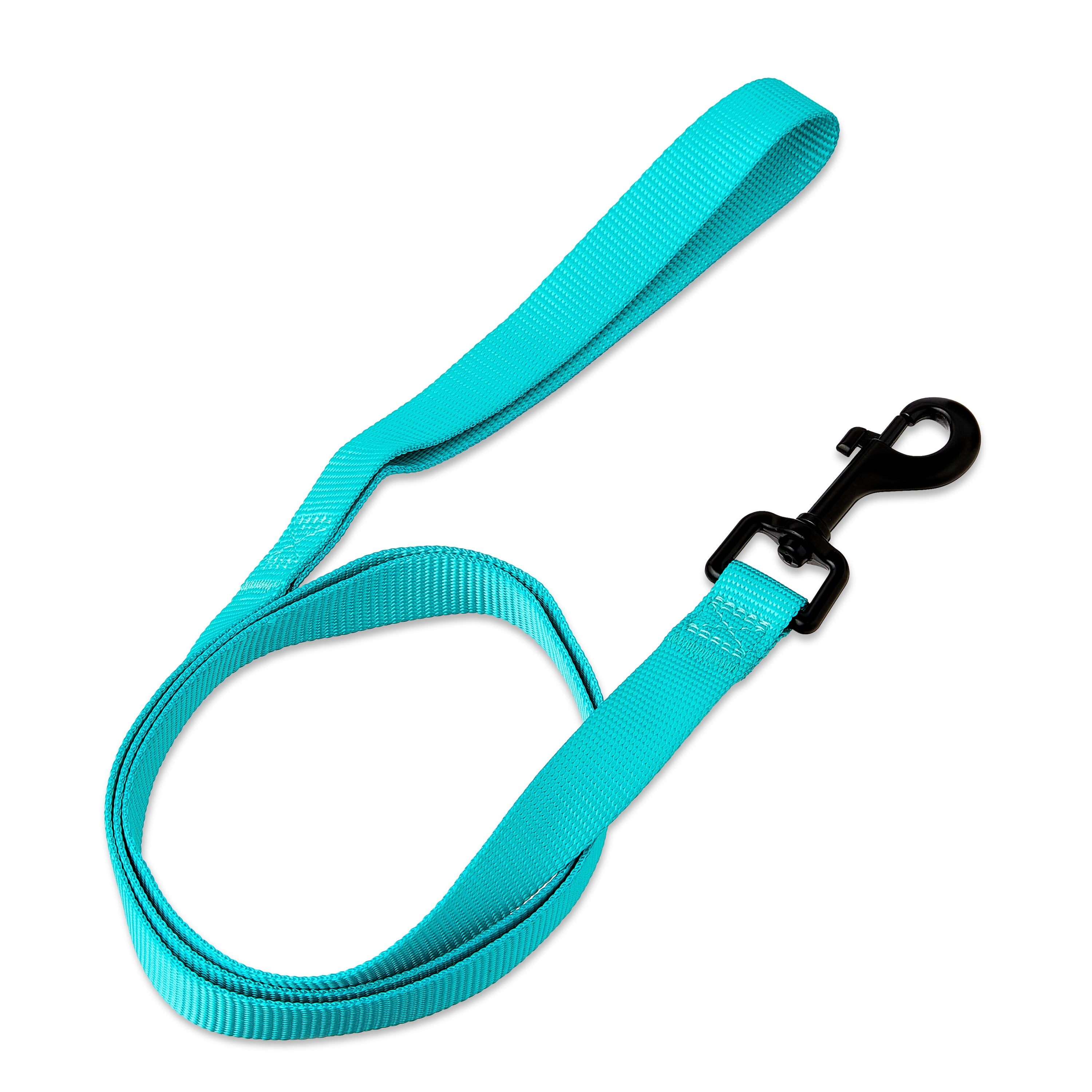 Vibrant Life 4' Polyester Standard Dog Leash, Teal