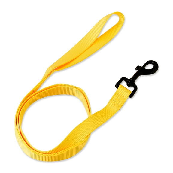 Vibrant Life 4' Polyester Standard Dog Leash, Yellow