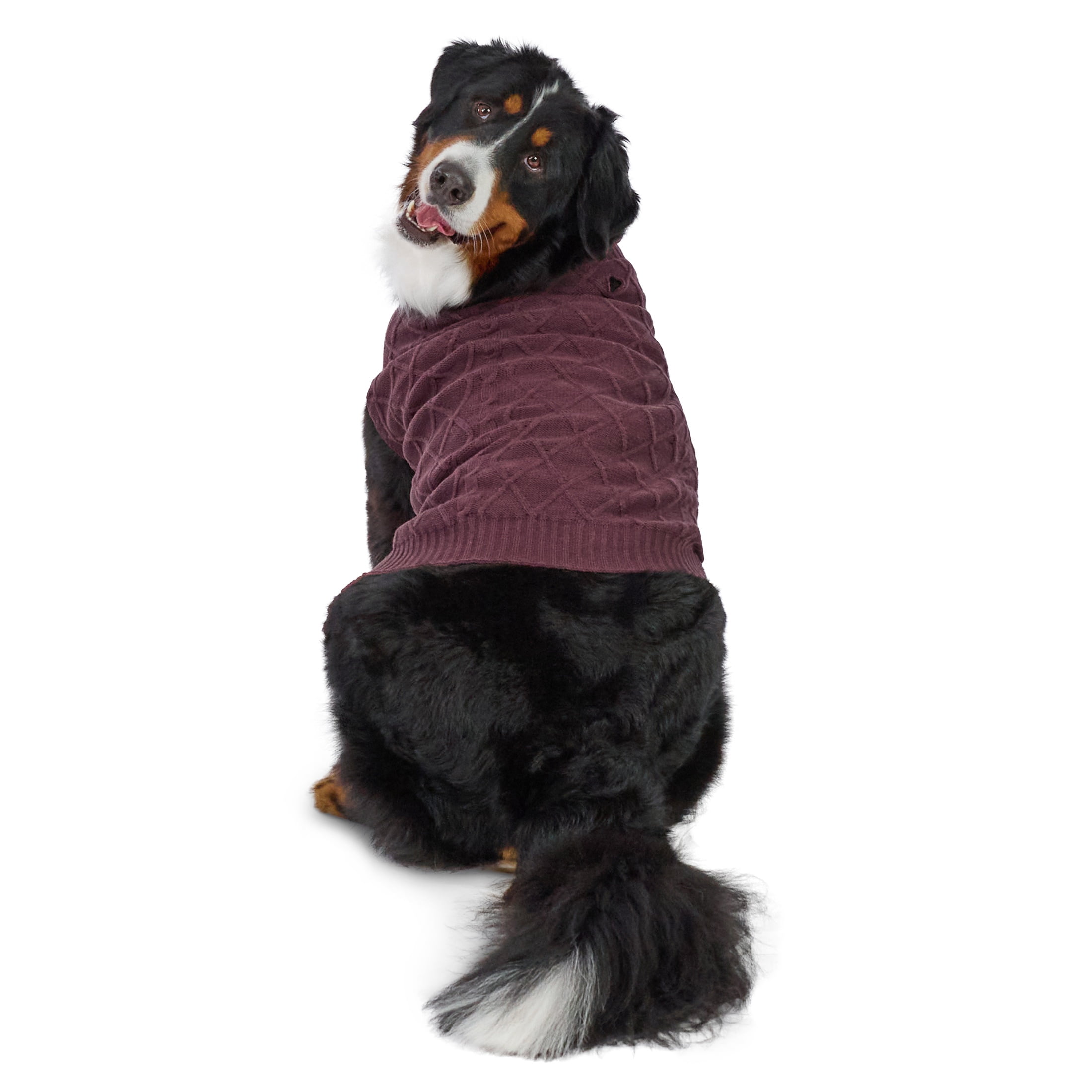 Vibrant Life Cable Knit Dog Sweater, Plum, XL, Among Other English Mastiff, Great Dane