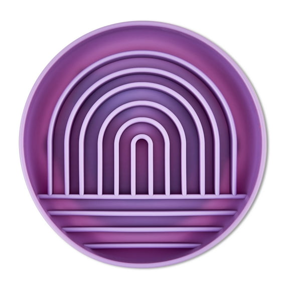 Vibrant Life Silicone Slow Feeder Bowl for Pets, Purple Rainbow