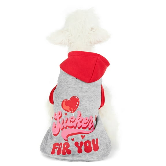 Vibrant Life Valentine's Day Sucker for You Cat and Dog Hoodie, Gray, Extra Small