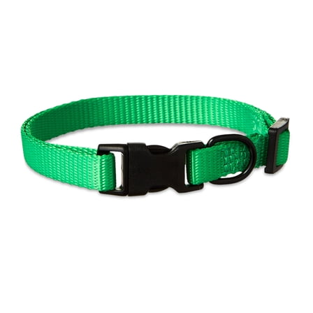 Vibrant Life Polyester Adjustable Dog Collar, Green, S